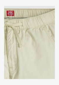 Selected, forest night