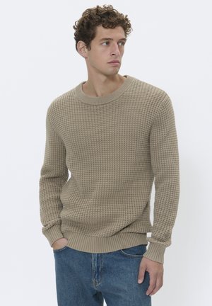 TRITON - Strickpullover - winter twig