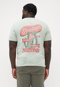 Lys grøn bomulds T-shirt med et grafisk design med kaktusser og "Greetings from Arizona" i pink og rød tekst på ryggen.