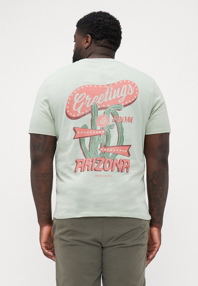Lys grøn bomulds T-shirt med et grafisk design med kaktusser og "Greetings from Arizona" i pink og rød tekst på ryggen.
