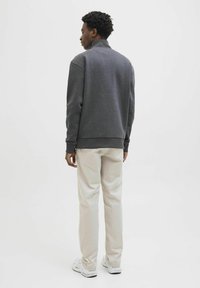 Dark gray sweatshirt with a high collar, featuring a relaxed fit. Paired with light beige trousers and white sneakers. Simple design, minimal detail.