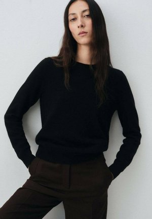 Black knit sweater with a round neck, long sleeves, and a soft texture, paired with dark brown tailored pants. Simple and elegant design.