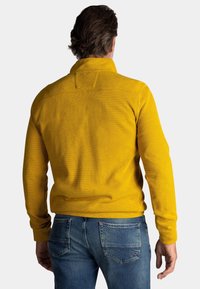 Geel gebreide trui met een hoge kraag en een textuurpatroon, gecombineerd met blauwe jeans. De achterkant laat een getailleerd ontwerp zien.