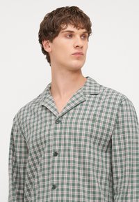 Camisa de cuadros verde y blanca con cuello de muesca, mangas largas y un pequeño logotipo en el pecho. Tejido de algodón suave.