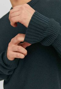 Jack & Jones JORKYLE CREW NECK - Jumper - magical forest