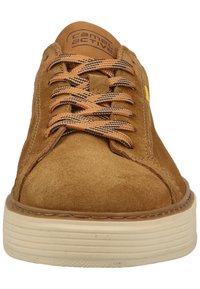 camel active Sneaker low - cognac