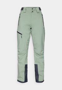CMP WOMAN PANT - Ski pants - mineral