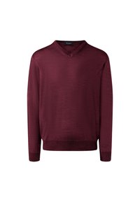 Bordový svetr s výstřihem do V a dlouhým rukávem, s žebrovanými manžetami a lemem, hladká textura, vyrobeno z lehkého materiálu. Bez vzorů nebo ozdob.