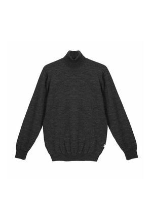 Pull à col roulé en laine gris foncé avec manches longues et bords-côtes aux poignets et à l'ourlet, présenté à plat sur un fond blanc.