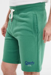 Pantalones cortos de algodón verde con cintura acanalada y cordón ajustable. Presenta bolsillos laterales y una impresión de logo azul, "Creeks Original Desde 1974."