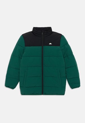 Grüne und schwarze Steppjacke mit hohem Kragen, vorderem Reißverschluss und zwei seitlichen Taschen. Horizontal gesteppter Stoff über die gesamte Jacke.