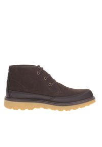 Blauer TRONCHETTO - Stivaletti stringati - marrone