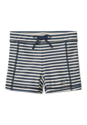 Swimming shorts - blue stripe