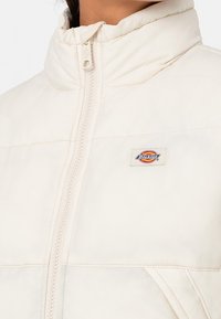 Dickies Vinterjakker - beige