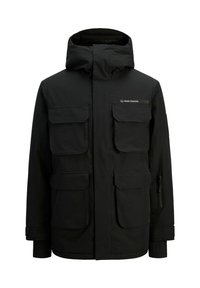 Unausgewählt, black beauty