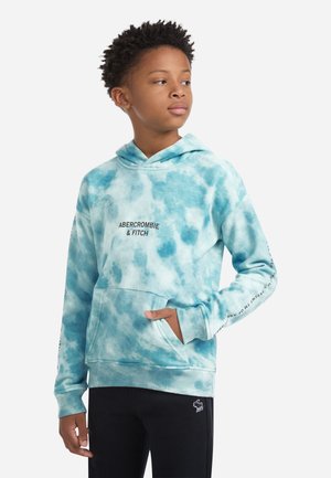 Abercrombie & Fitch HOODIE - Majica s kapuljačom - gray mist