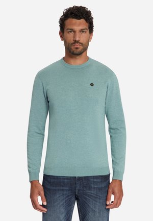 Man with curly dark hair wearing light blue crewneck sweater and blue jeans standing against white background.