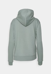 Sweat à capuche vert clair à manches longues, avec poignets et ourlet côtelés, présenté de dos sur un fond blanc uni.