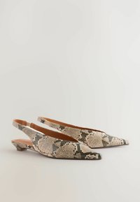 REGULAR FIT  FOREVER COMFORT POINT TOE  - Balerínky na šnúrky - snake