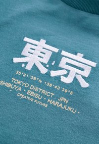 Next SHORT SLEEVE GRAPHIC STANDARD - Triko s potiskem - teal blue embroidery
