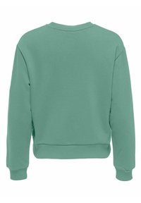 Jednobarevná matná zelená mikina s dlouhým rukávem, s pružnými manžetami a spodním lemem, zobrazená zezadu na bílém pozadí.