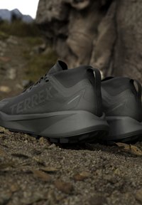 Paire de chaussures de trail running Terrex noires sur un sol rocheux, avec un arrière-plan naturel extérieur flou et une formation rocheuse.