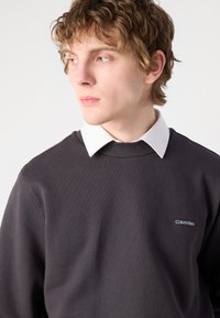 Siv pulover s kroja crewneck z rebrastim ovratnikom, pod njim je bela srajca z ovratnikom. Na levem prsnem delu je majhna logo znamke Calvin Klein.