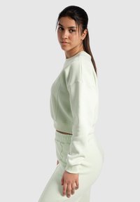 Sudadera corta verde claro hecha de un tejido suave, con un escote redondeado, puños acanalados y detalles de costura sutiles.