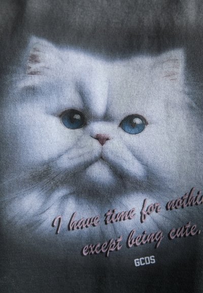Graphic T-shirt featuring a close-up of a white cat's face with blue eyes, soft fur texture, and printed text in pink and white on a black background.