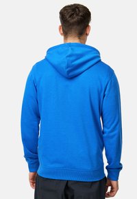 INDICODE JEANS INHOWARD - Sweatjakke - skydiver
