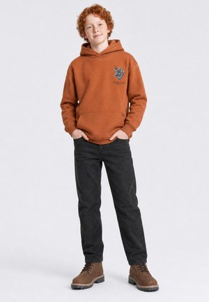 Petrol Industries, GRAPHIC HOODED SWEATER STEELPARK - Hoodie - copper orange