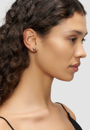 Goldfarbene Ohrstecker mit Vogeldesign, schlanker Form, glatter Textur und minimalistischen Akzenten, präsentiert am Ohr eines Models.