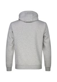 Sweat-shirt à capuche gris clair vu de dos avec manches longues et poignets et ourlet côtelés.