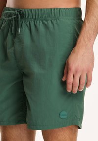 Shiwi REGULAR FIT NICK - Zwemshorts - cilantro green