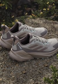 Para beżowo-brązowych butów do biegania trailowego Adidas Terrex na skalistym podłożu z małymi żółtymi kwiatami i zielonymi roślinami w pobliżu.
