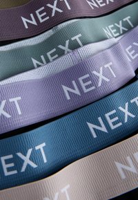 Cinq élastiques de différentes couleurs : violet, vert, bleu clair et crème, avec des surfaces texturées et des logos "NEXT" blancs sur chacun.