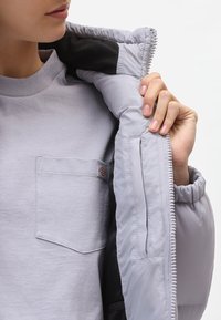 Dickies ALATNA JACKET - Talvejope - lilac gray