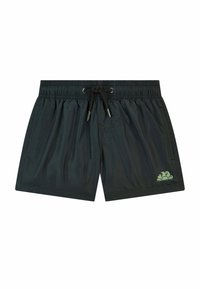 Costumi da bagno neri realizzati in tessuto leggero, con vita elastica e cordino, e un logo a onda verde sul lato sinistro inferiore.