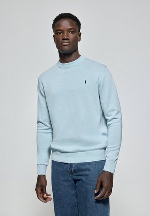 Light blue sweater made of soft material, featuring a round neckline and ribbed cuffs. Small, dark logo on the left chest. Worn with jeans.