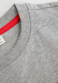 Szary T-shirt z prążkowanym dekoltem. Wewnątrz kołnierza znajduje się kontrastujący czerwony akcent. Miękka tekstura o prostym kroju, bez wzorów ani grafik.