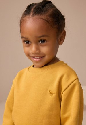 Niño pequeño con cabello trenzado oscuro sonriendo, vistiendo un sudadera amarilla mostaza con un pequeño emblema de dinosaurio en el pecho.