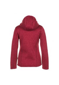 Peak Mountain ALAINE - Veste polaire - pink