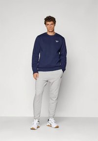 Fiatal férfi áll sötétkék pulóverben, világosszürke melegítőnadrágban és fehér sportcipőben, egyszínű világos háttér előtt.