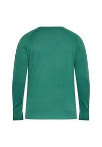 Pullover verde a manica lunga con una trama a maglia solida. Presenta un collo rotondo e polsini a coste, con un orlo dritto in vita.
