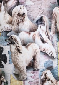 Tyger med flera afghanhundar med långt, silkeslent päls i nyanser av kräm och brun, mot en strukturerad pastelbakgrund.