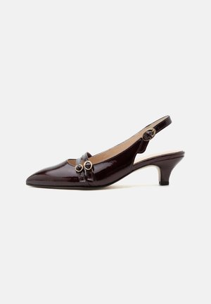 Chaussure slingback femme en cuir marron foncé avec bout pointu, petit talon kitten et trois boucles dorées sur les brides avant.