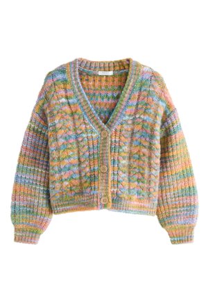 Next CABLE - Kardigán - rainbow