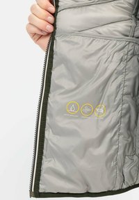 Grøn, vandafvisende, vindproof jakke indeni med grå foring, der viser gule ikoner for vandafvisende, vindproof og dunfri funktioner.
