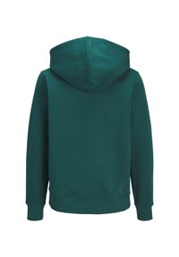 Felpa verde con cappuccio e polsini a costine, realizzata in un tessuto morbido con una superficie liscia e un design semplice e senza cuciture.