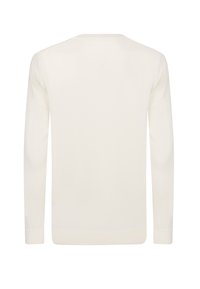 Witte lange mouwen sweater gemaakt van zachte brei stof. Heeft een ronde halslijn en geribde boorden en zoom. Eenvoudig ontwerp zonder versieringen.